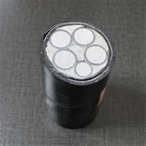 [NH-YJLV]耐火鋁芯交聯(lián)聚乙烯絕緣聚氯乙烯護套電力電纜